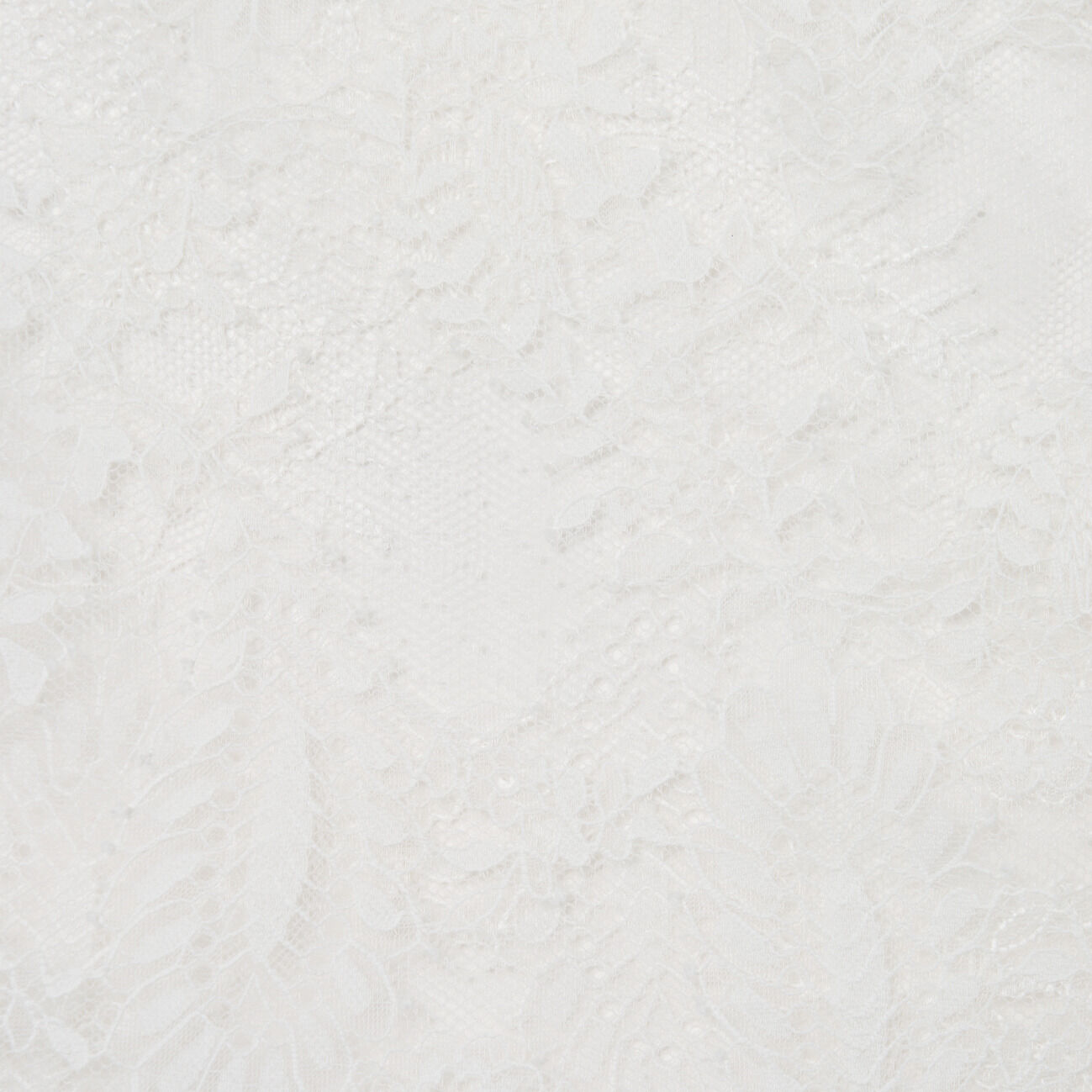  「boussole LACE BIG COLLAR 2way BLOUSE」|シャツ・ブラウス|