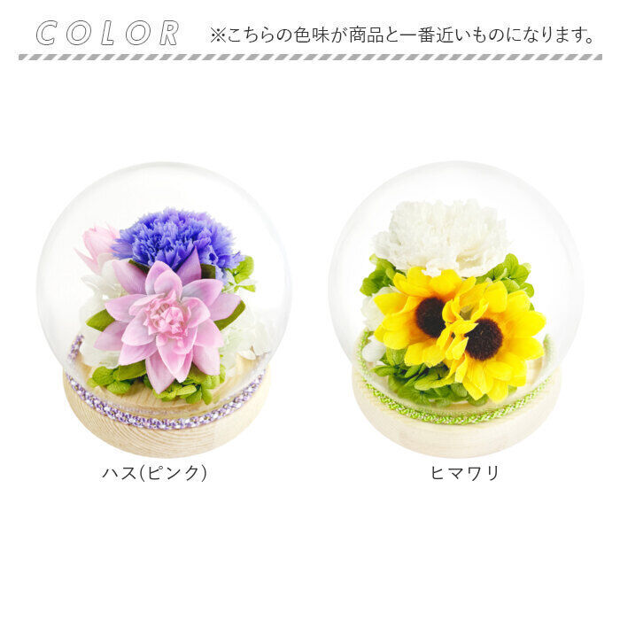 BACKYARD FAMILY「プリザーブドフラワー 仏花 ガラスドーム 通販 ガラス ドーム プリザーブド フラワー」|その他|