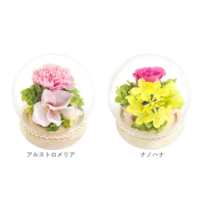BACKYARD FAMILY「プリザーブドフラワー 仏花 ガラスドーム 通販 ガラス ドーム プリザーブド フラワー」|その他|