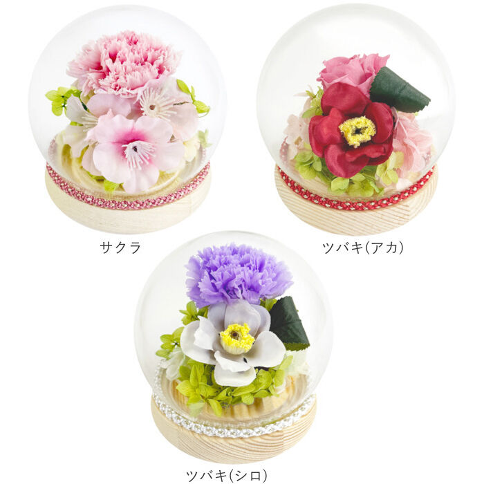 BACKYARD FAMILY「プリザーブドフラワー 仏花 ガラスドーム 通販 ガラス ドーム プリザーブド フラワー」|その他|