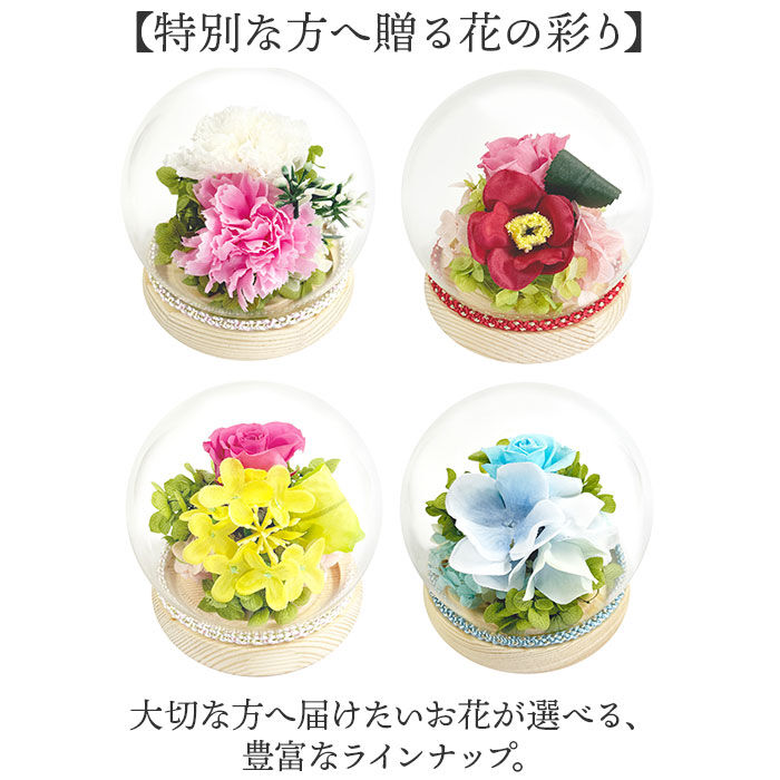 BACKYARD FAMILY「プリザーブドフラワー 仏花 ガラスドーム 通販 ガラス ドーム プリザーブド フラワー」|その他|