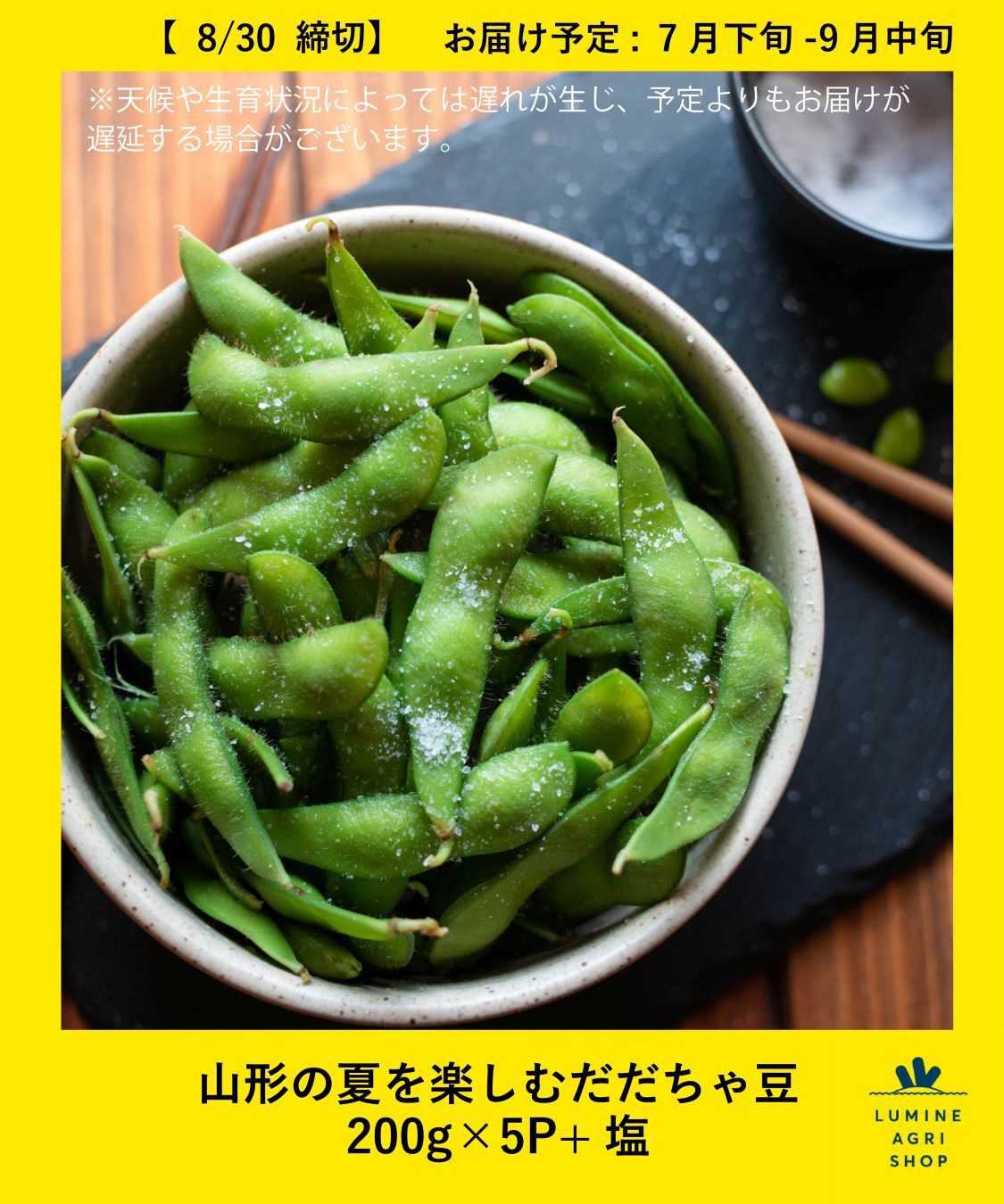 LUMINE AGRI SHOP「山形の夏を楽しむ だだちゃ豆 200g x5P+塩」|果物・野菜|その他