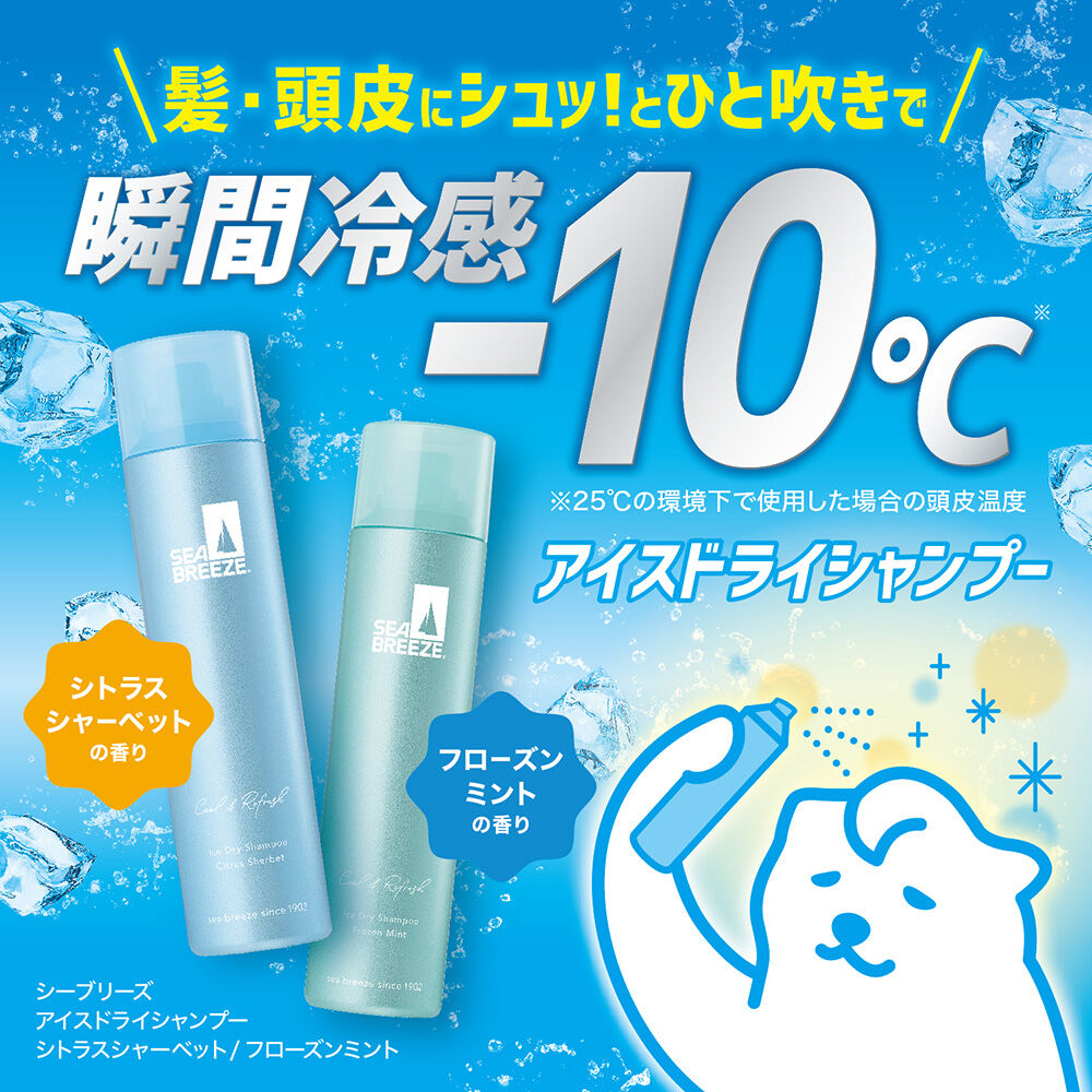  「シーブリーズ アイスドライシャンプー 本体/フローズンミント (95.00g)」|ヘアスタイリング|