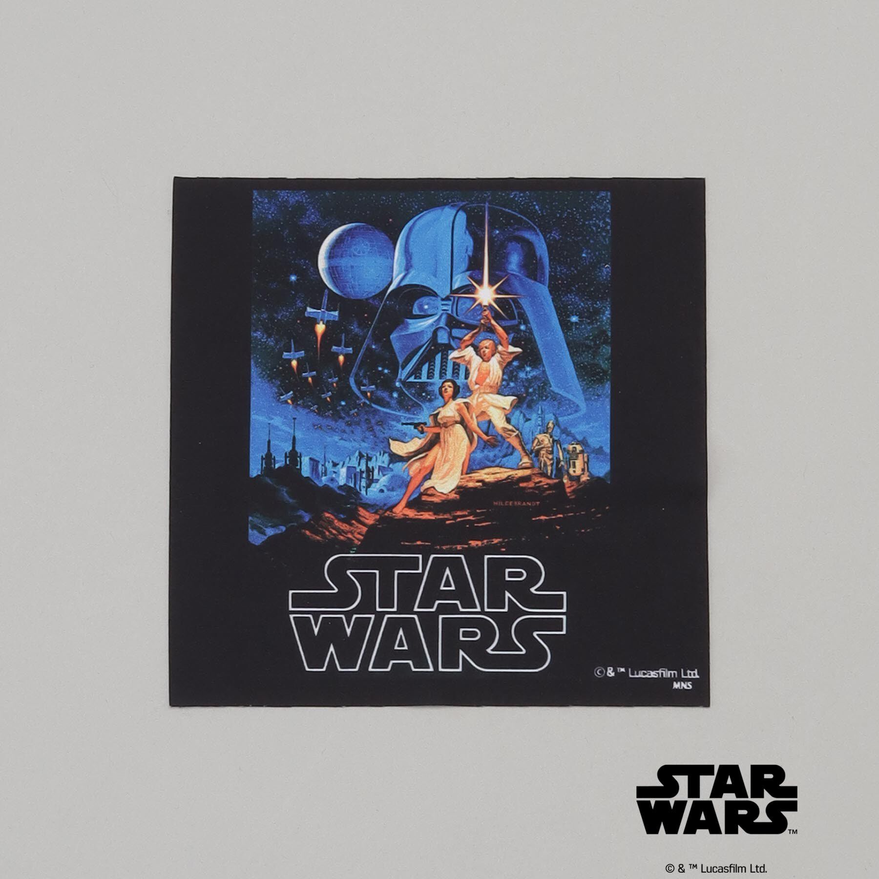 212 KITCHEN STORE「メガネケース ＜STAR WARS スター・ウォーズ ＞」|その他|