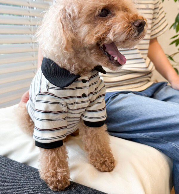 fredy emue「【FR PETS】マルチボーダーポロシャツ」|Tシャツ・カットソー|