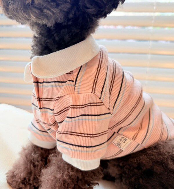 fredy emue「【FR PETS】マルチボーダーポロシャツ」|Tシャツ・カットソー|