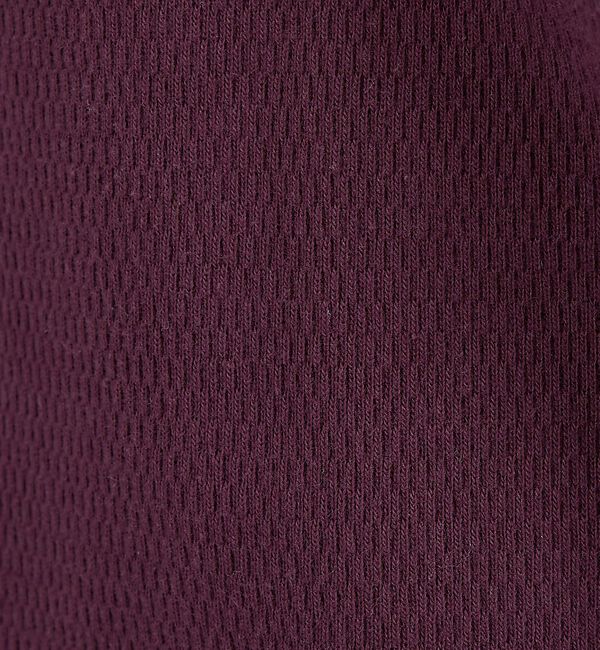 Rouge vif「【Healthknit/ヘルスニット】サーマルキング ハニカムクロップドクルー/」|Tシャツ・カットソー|