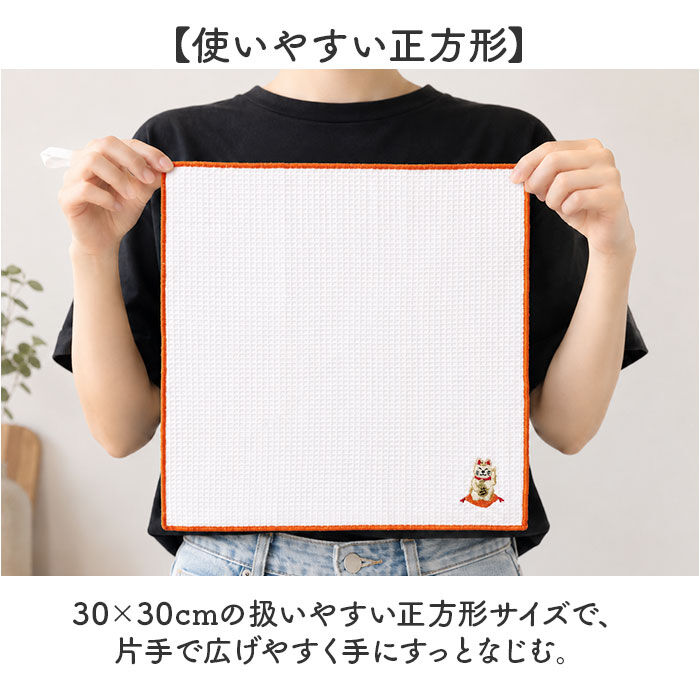 BACKYARD FAMILY「キッチンクロス おしゃれ 2枚組 通販 ディッシュクロス ふきん オシャレ 布巾 台拭き おしぼり」|その他|