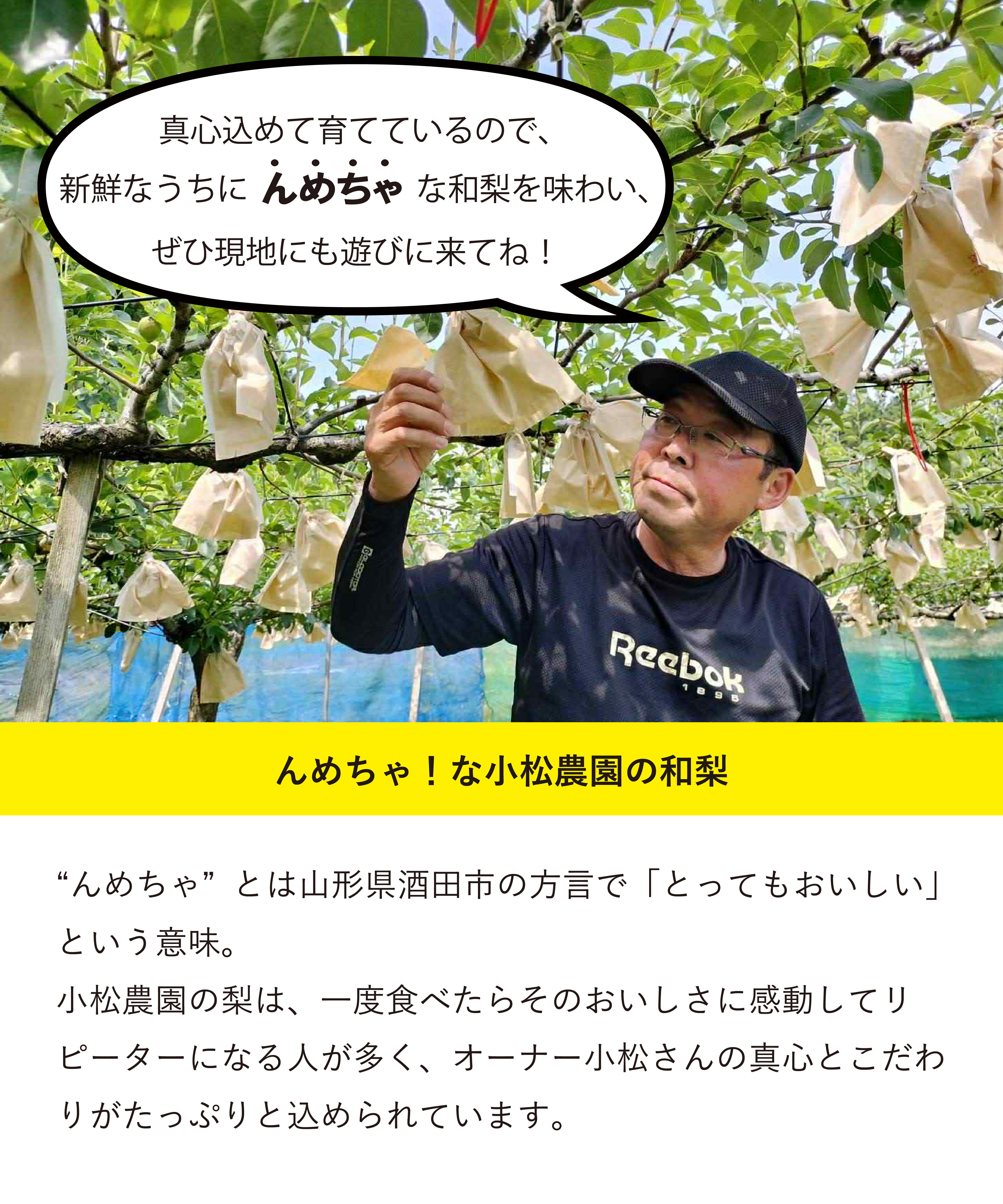 LUMINE AGRI SHOP「【L-FARMERS】小松さんの幻の秀玉2.5㎏」|果物・野菜|
