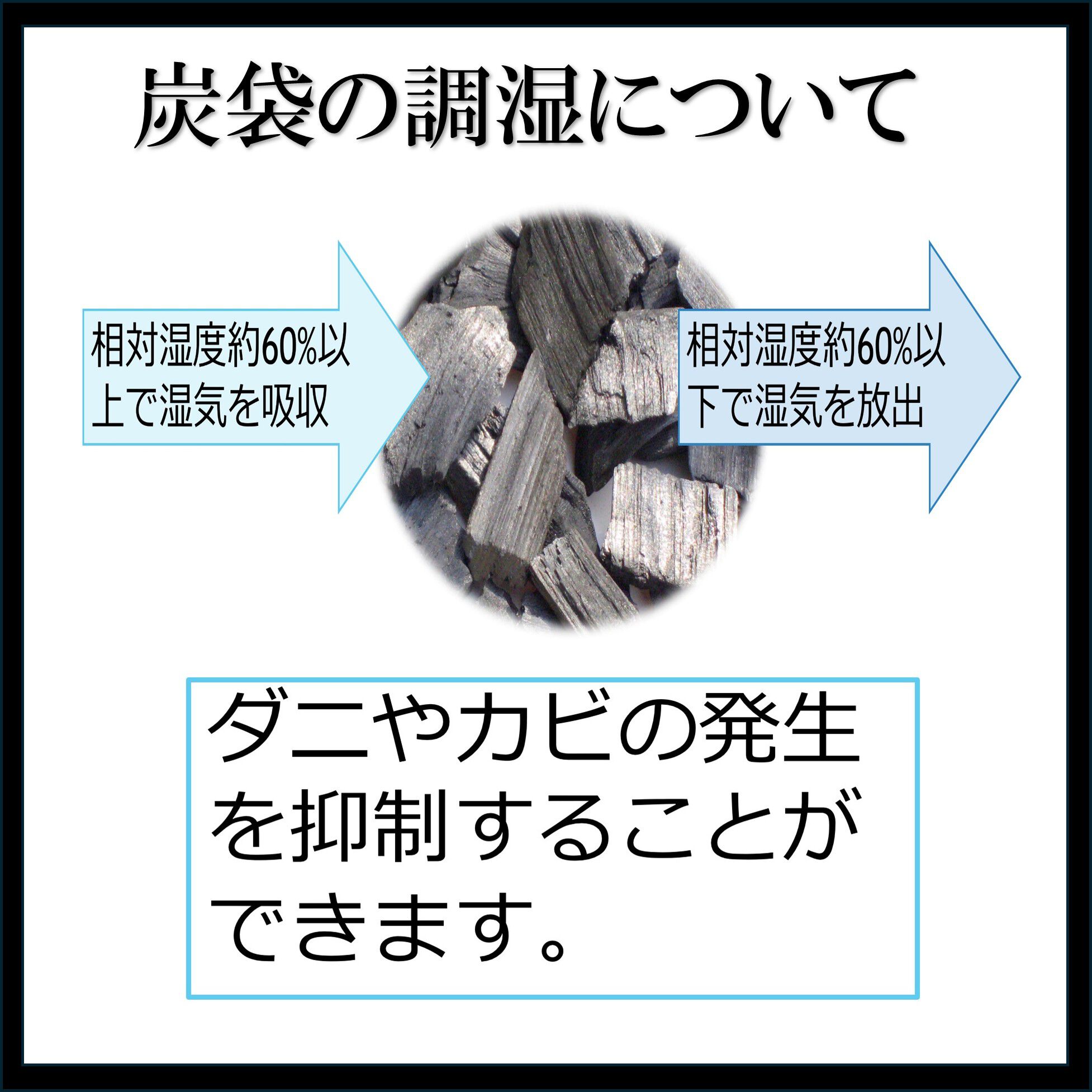 BACKYARD FAMILY「炭袋 除湿 通販 日本製 消臭剤 湿気取り 除湿剤 繰り返し使える 炭 エコ 臭い対策 カビ防止」|その他|