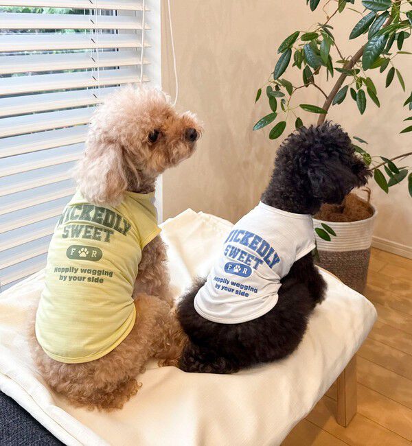 fredy emue「【FR PETS】接触冷感カレッジタンクトップ」|Tシャツ・カットソー|