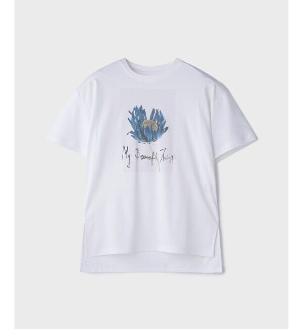 Diagram「カットフォトTシャツ」|Tシャツ・カットソー|