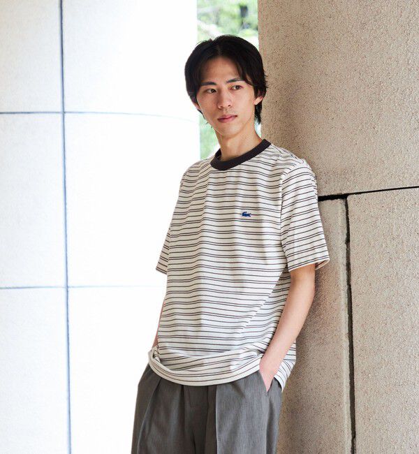 SHIPS「【SHIPS別注】LACOSTE: マイクロ ボーダー Tシャツ」|Tシャツ・カットソー|ブラウン