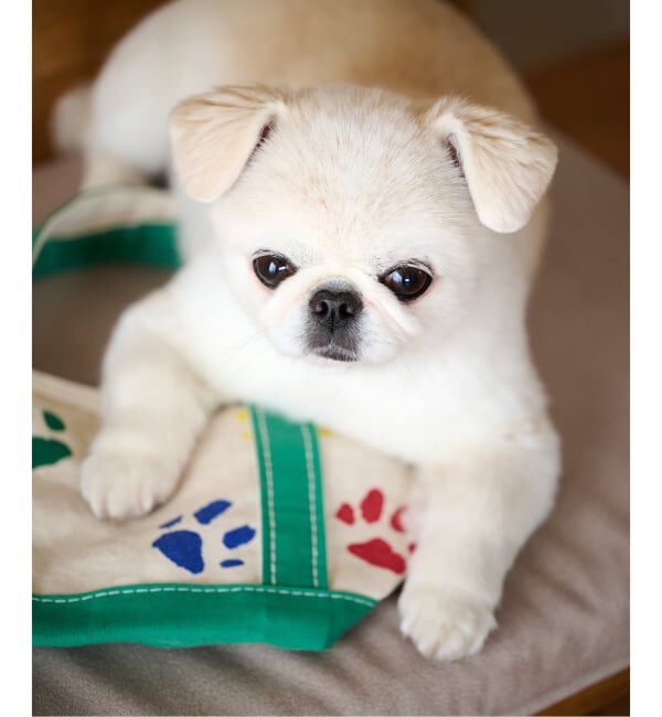 journal standard Furniture「PAWS PT BAG　トートバッグ」|トートバッグ|