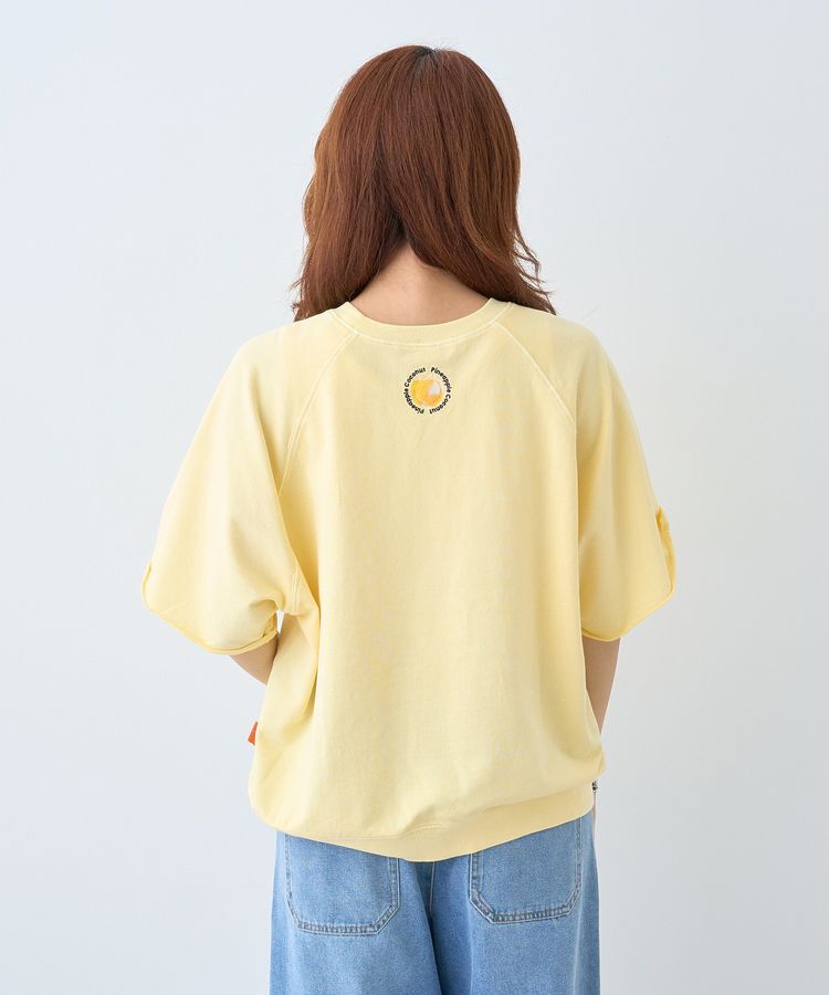 AMERICAN HOLIC「【BLUE SEAL】カラーピグメントプルオーバー」|Tシャツ・カットソー|
