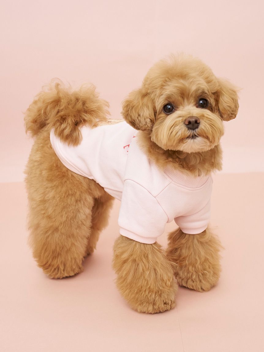  GELATO PIQUE CAT&DOG「【CAT&DOG】お散歩ドッグ裏毛プルオーバー」|その他|