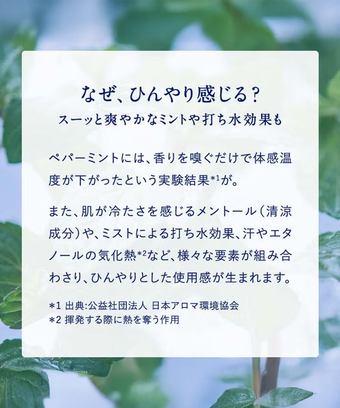 NEAL&rsquo;S YARD REMEDIES「【季節限定】リフレッシュミント ボディミスト エクストラ 100ml」|香水・フレグランス|