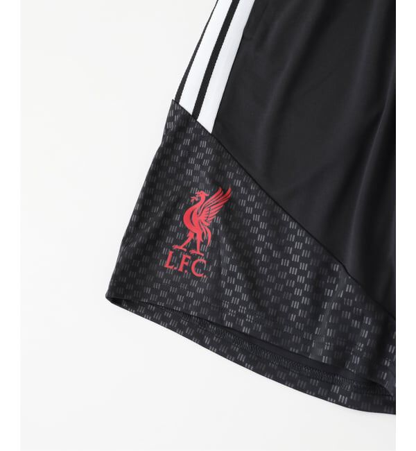 Liverpool FC「【adidas / アディダス】LFC  FBLI リバプールFC トレーニング」|その他|