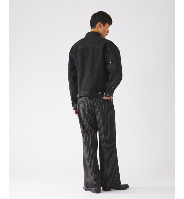 JOURNAL STANDARD relume「《予約》カラージップ ストライプスラックス」|スラックス|
