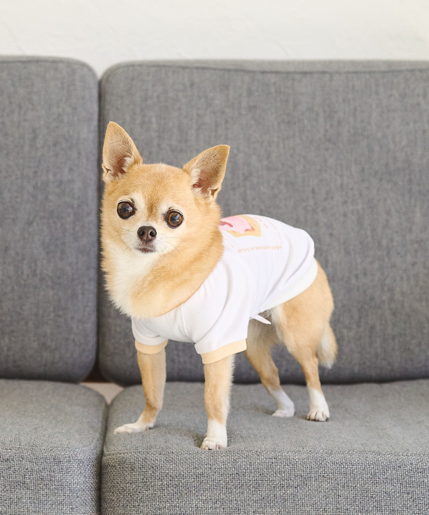 ROPE PICNIC PASSAGE「【comif(コミフ)&times;ROPE' PICNIC】【DOG】バースデーミニタルトTシャツ」|その他|
