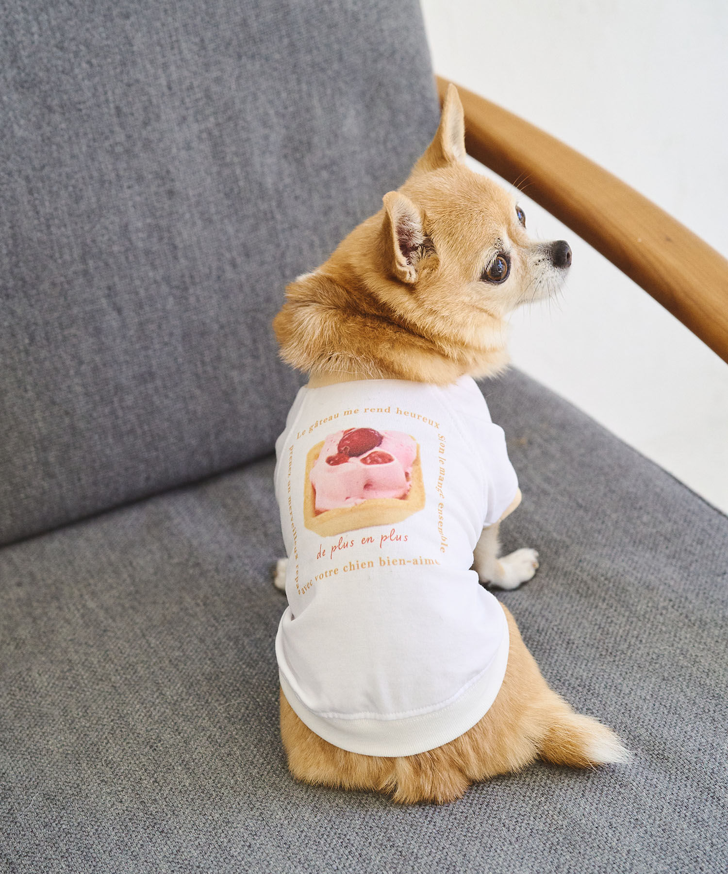 ROPE PICNIC PASSAGE「【comif(コミフ)&times;ROPE' PICNIC】【DOG】バースデーミニタルトTシャツ」|その他|