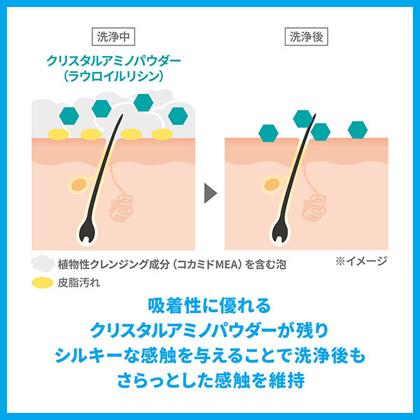  「シーブリーズ リンスインシャンプー 本体/アクアティックシトラス (490mL)」|シャンプー|