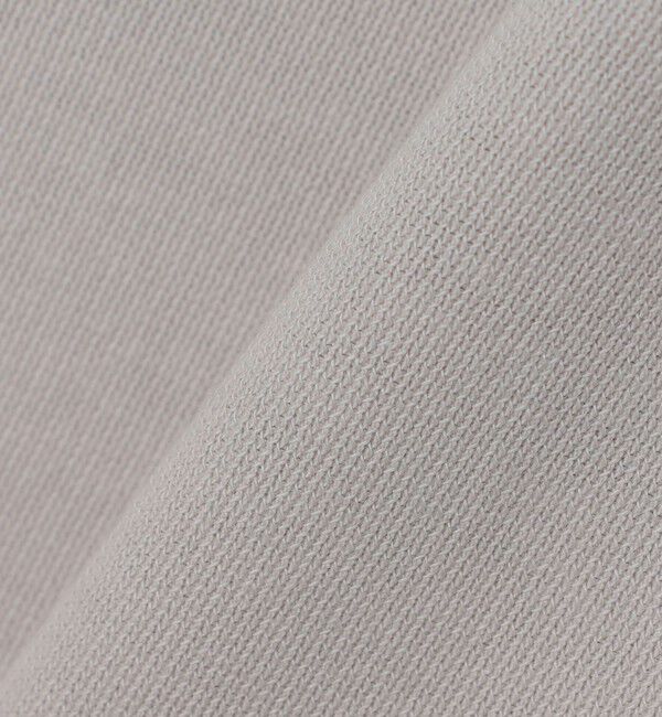 SHIPS「ARPENTEUR: PONTUS」|Tシャツ・カットソー|