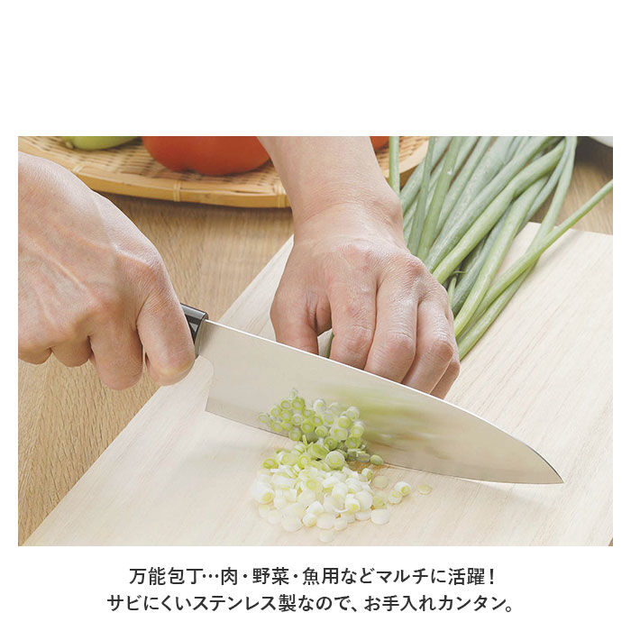 BACKYARD FAMILY「包丁セット 3本 通販 万能包丁 三徳包丁 刺身包丁 和包丁 出刃包丁 中村孝明 本格和包丁」|食器・キッチングッズ|