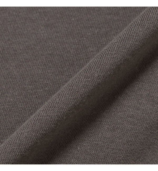 Ray BEAMS 「DANTON / ソリッド Tシャツ」|Tシャツ・カットソー|