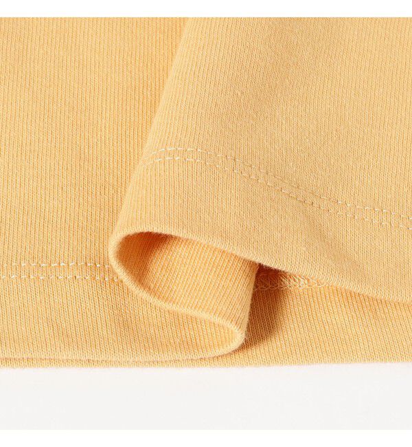Ray BEAMS 「DANTON / ソリッド Tシャツ」|Tシャツ・カットソー|
