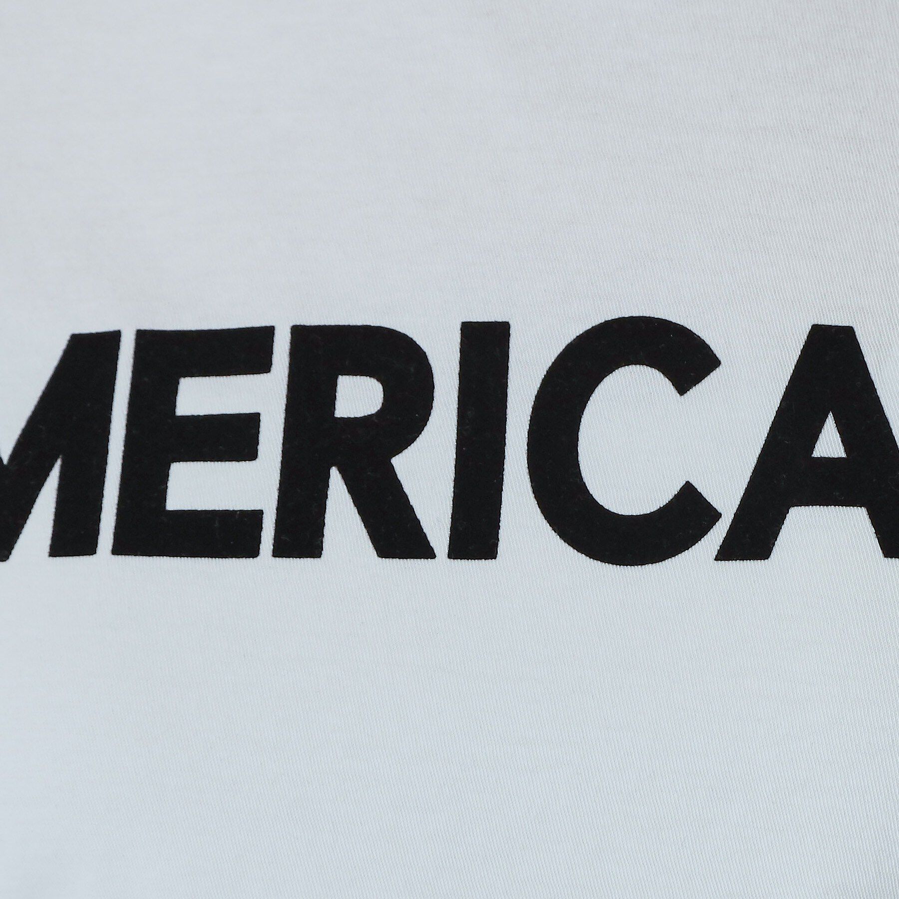 DRESSTERIOR「Americana（アメリカーナ）【別注】 接触冷感 袖ロールアップ ロゴTシャツ」|Tシャツ・カットソー|