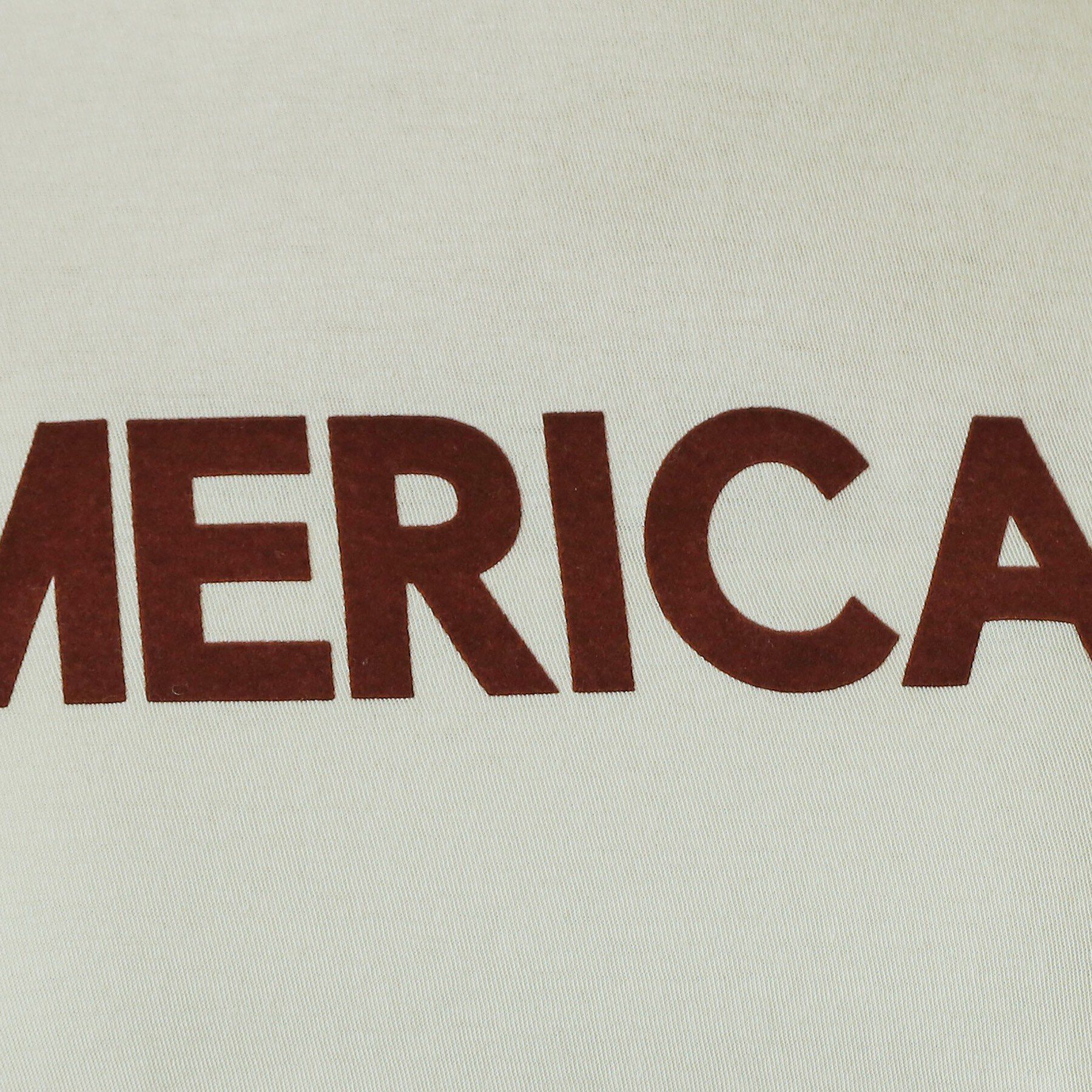 DRESSTERIOR「Americana（アメリカーナ）【別注】 接触冷感 袖ロールアップ ロゴTシャツ」|Tシャツ・カットソー|