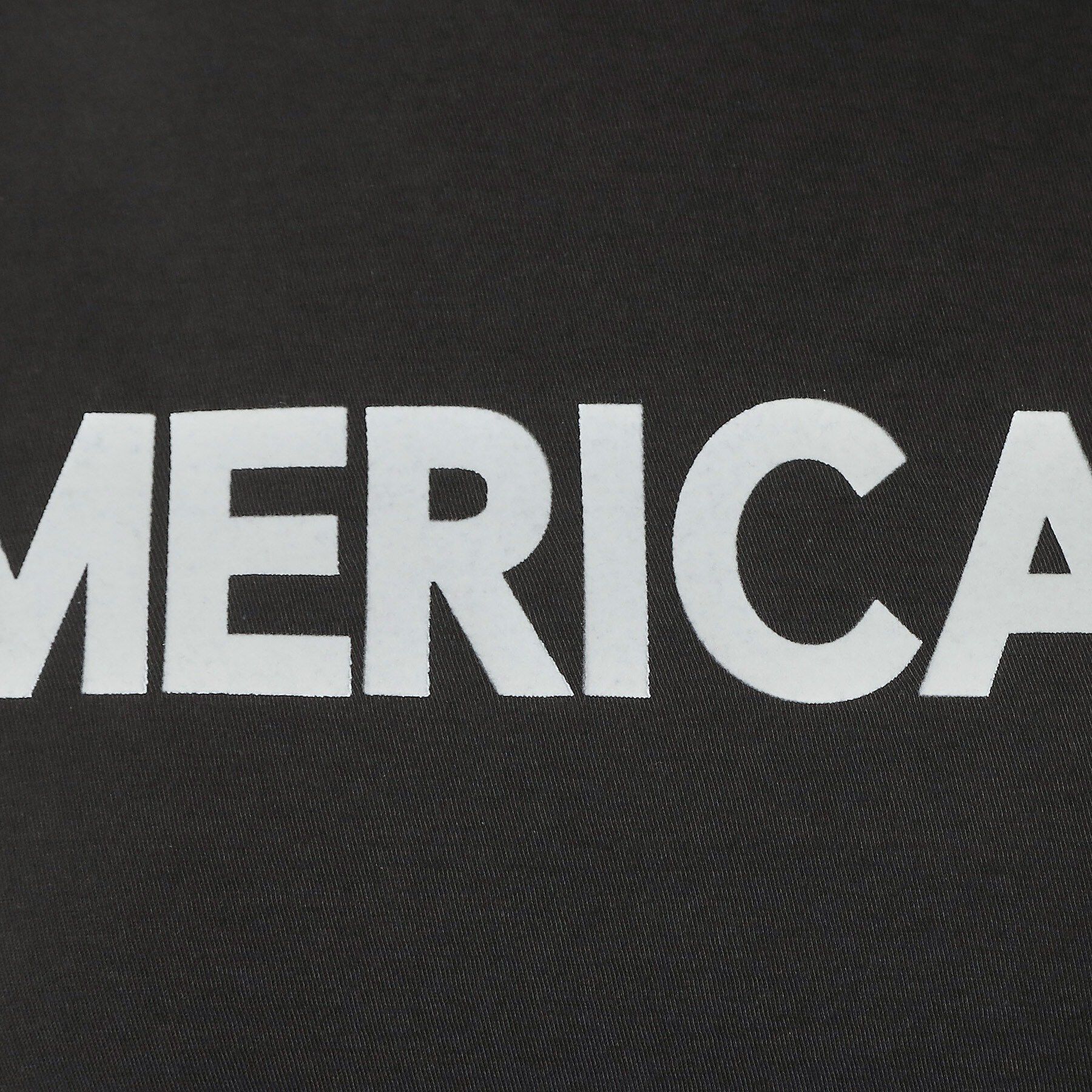 DRESSTERIOR「Americana（アメリカーナ）【別注】 接触冷感 袖ロールアップ ロゴTシャツ」|Tシャツ・カットソー|