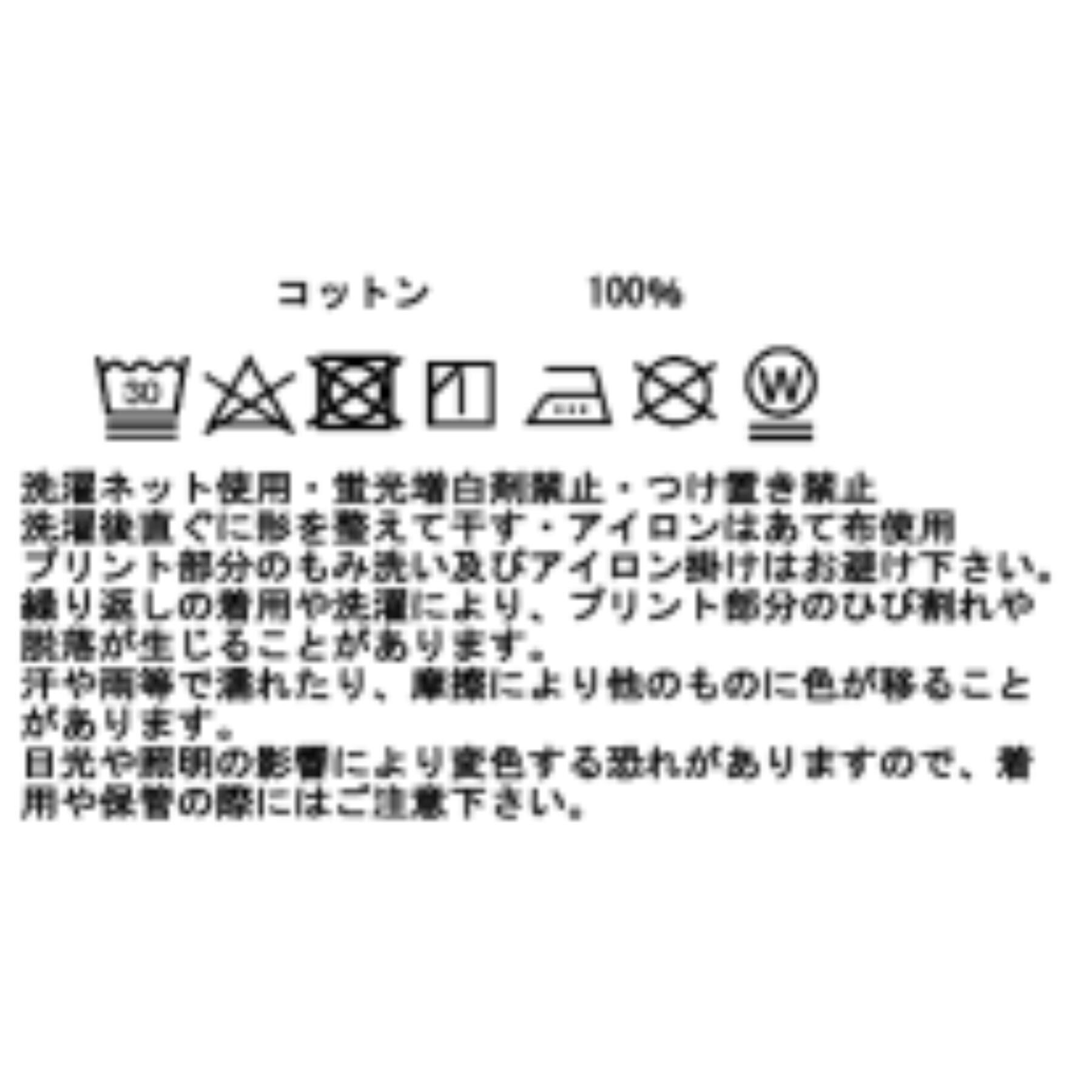 DRESSTERIOR「Americana（アメリカーナ）【別注】 接触冷感 袖ロールアップ ロゴTシャツ」|Tシャツ・カットソー|