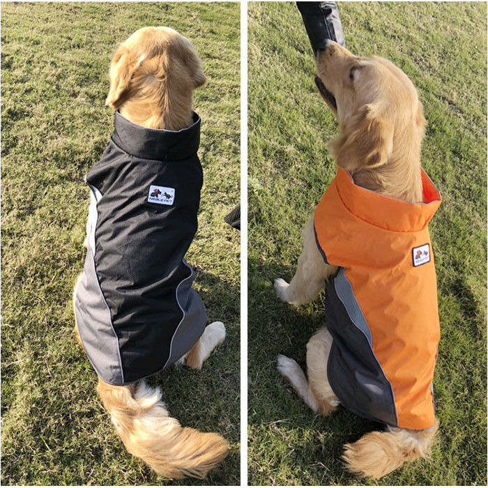 BACKYARD FAMILY「レインコート 犬用 通販 2xlサイズ 3xlサイズ 犬レインコート ドッグウェア 雨カッパ」|その他|