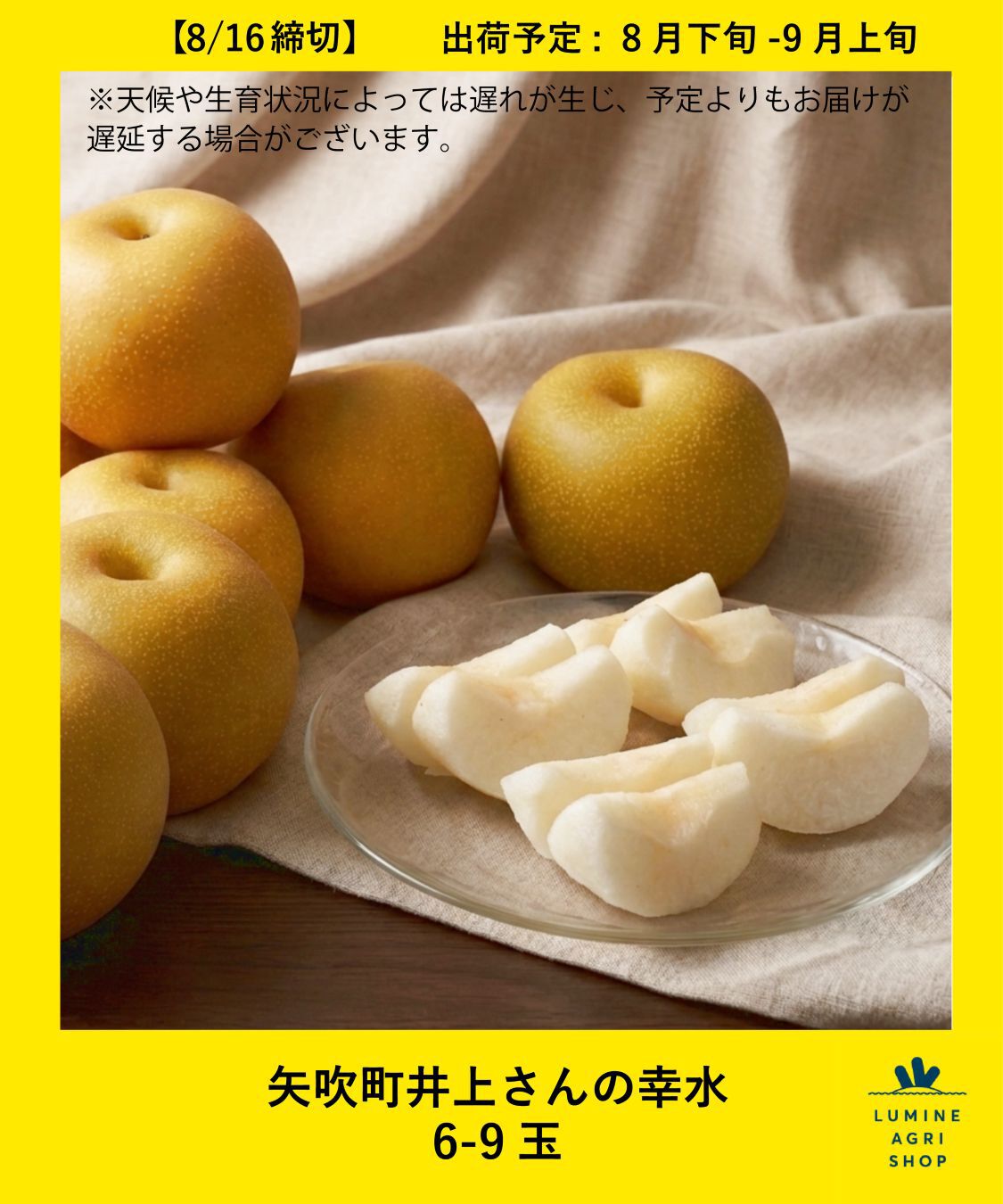 商品画像