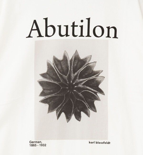 Rie Miller「【一部WEB限定色アイテム】【karl blossfeldt】プラントフォトＴシャツ」|Tシャツ・カットソー|