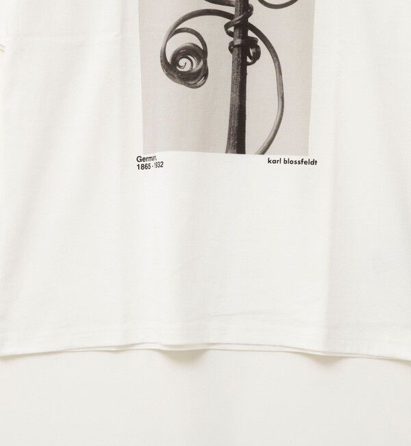 Rie Miller「【一部WEB限定色アイテム】【karl blossfeldt】プラントフォトＴシャツ」|Tシャツ・カットソー|