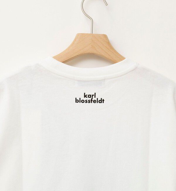 Rie Miller「【一部WEB限定色アイテム】【karl blossfeldt】プラントフォトＴシャツ」|Tシャツ・カットソー|