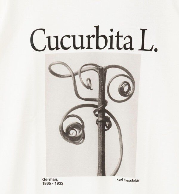 Rie Miller「【一部WEB限定色アイテム】【karl blossfeldt】プラントフォトＴシャツ」|Tシャツ・カットソー|
