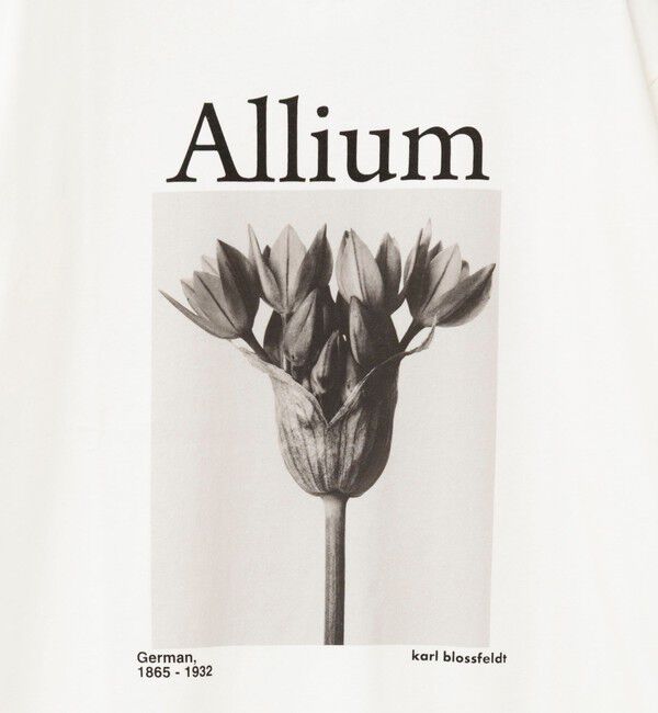 Rie Miller「【一部WEB限定色アイテム】【karl blossfeldt】プラントフォトＴシャツ」|Tシャツ・カットソー|