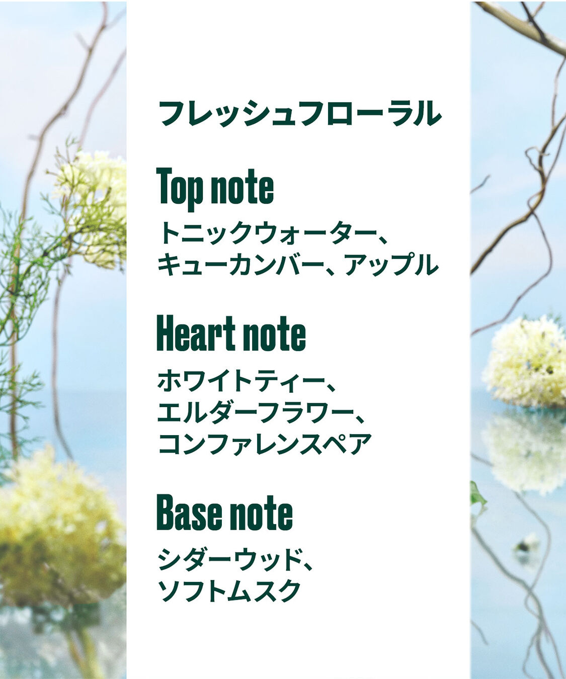 THE BODY SHOP「フレグランスミスト ホワイトティー＆エルダーフラワー 100mL」|香水・フレグランス|