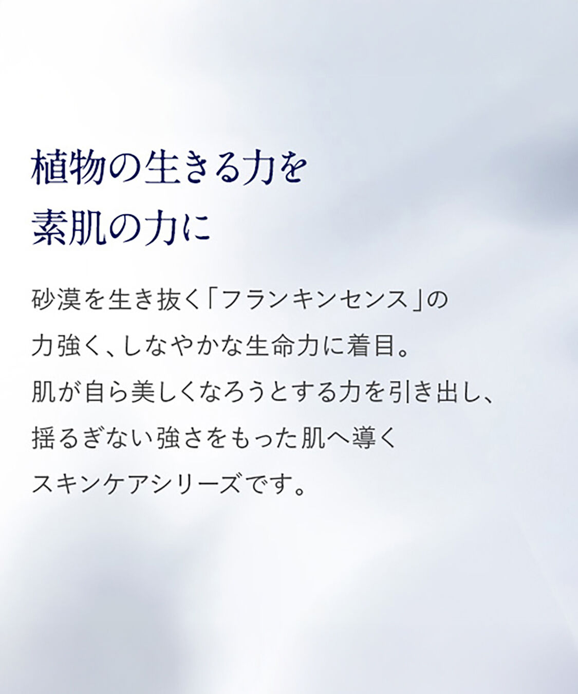 NEAL&rsquo;S YARD REMEDIES「フランキンセンス フェイシャルウォッシュ 100mL」|洗顔料|