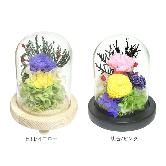 BACKYARD FAMILY「ガラスドーム インテリア アレンジメント L 通販 フラワーアレンジメント プリザーブドフラワー」|その他|