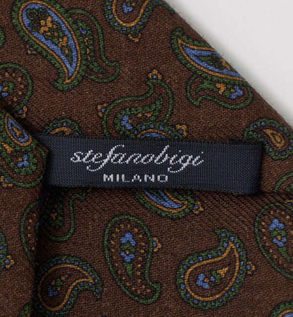 UNITED ARROWS「＜STEFANO BIGI＞ペイズリー ネクタイ」|ネクタイ・蝶ネクタイ|