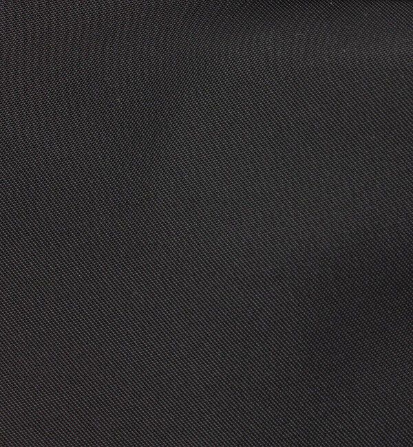 BEAUTY&YOUTH UNITED ARROWS「【WEB限定】＜NOMADIS＞マディソン ポーチ/Lサイズ」|ポーチ|