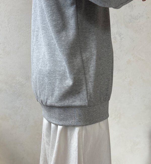  「【WEB限定】シアー切替カットソー」|Tシャツ・カットソー|