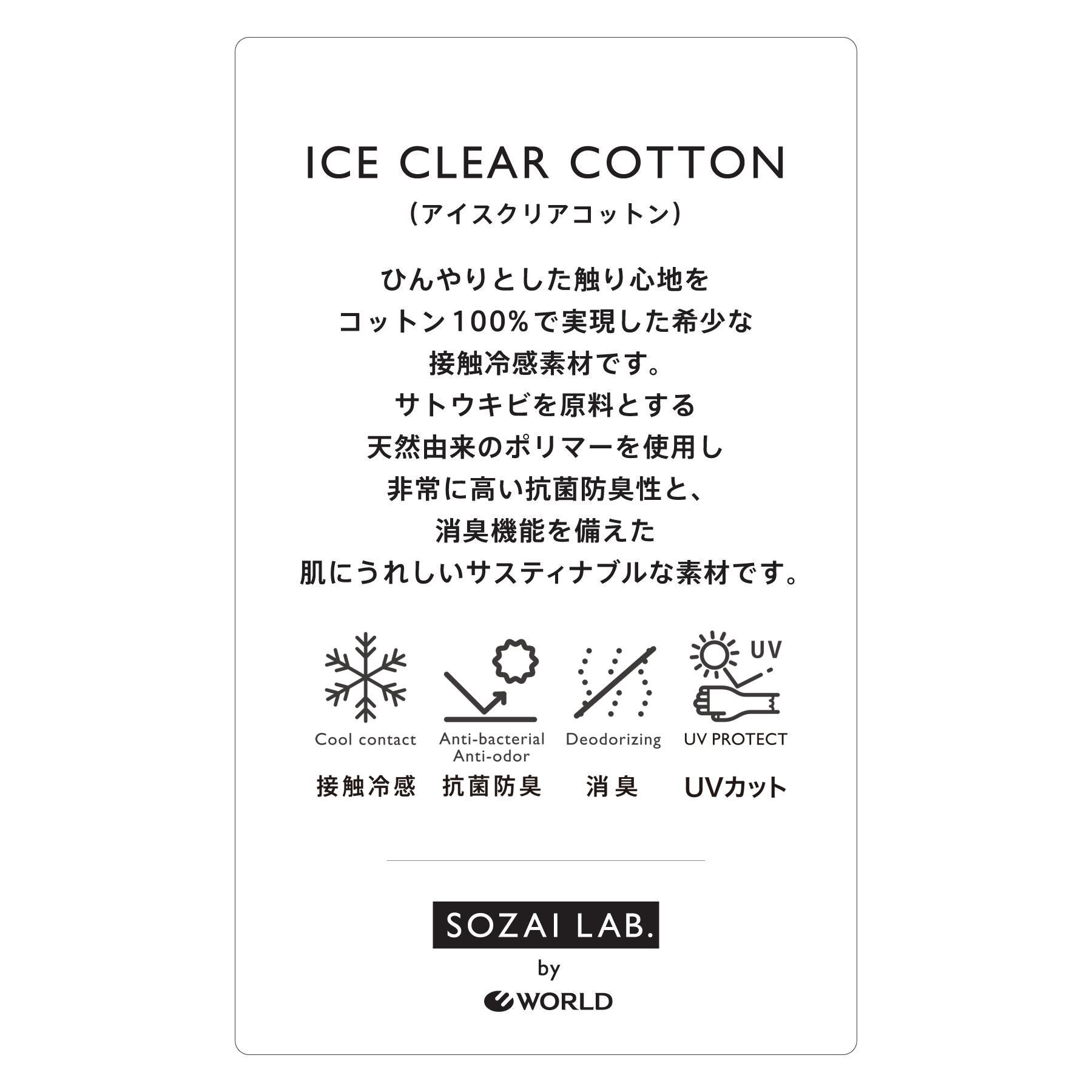 DRESSTERIOR「【接触冷感／抗菌防臭／消臭】ICE CLEAR COTTON フロッグオーバーフィットTシャツ」|Tシャツ・カットソー|