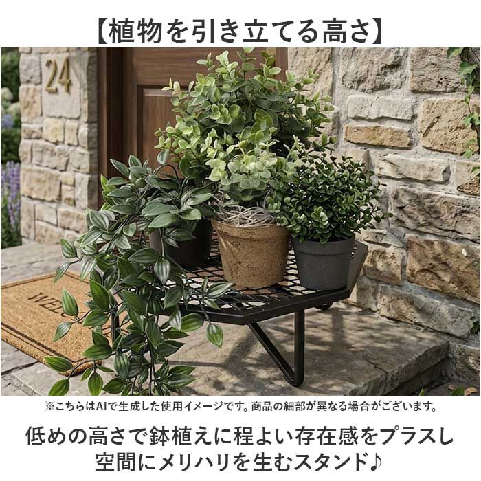 BACKYARD FAMILY「プランツスタンド オクト 通販 おしゃれ アイアン 植木鉢スタンド 花台 植物台 ガーデニング」|その他|