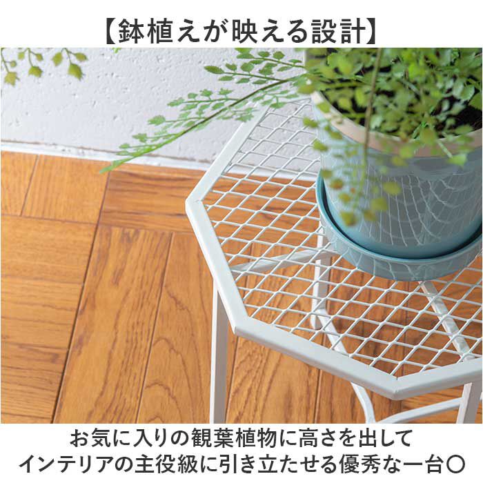 BACKYARD FAMILY「プランツスタンド オクト 通販 おしゃれ アイアン 植木鉢スタンド 花台 植物台 ガーデニング」|その他|